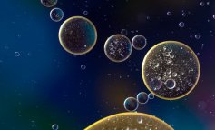 Microplastiche killer del sistema immunitario