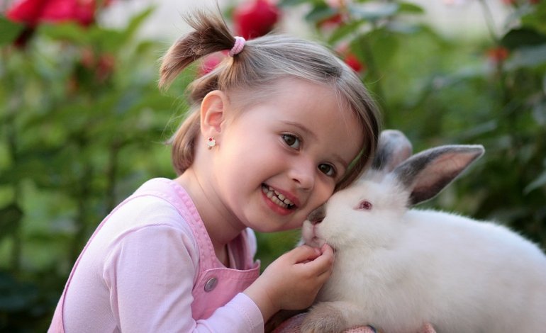Conigli, il tracollo degli allevamenti: sono visti come pet