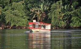 I numeri da record del Costa Rica: tra coccodrilli, aironi e mangrovie alla foce del Rio Tarcoles