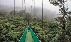 Il tesoro del Costa Rica: cascate, vulcani e wildlife