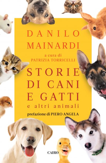 Dio li fa e poi li accompagna: gli animali amici dell’uomo