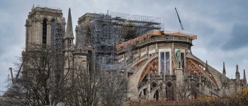 Il miracolo delle api di Notre Dame