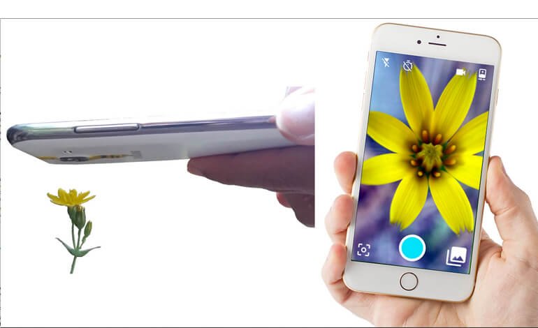 Esplorare il micromondo con lo smartphone