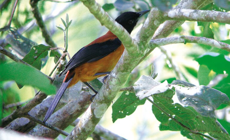 Un incontro da evitare