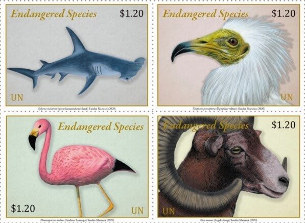 World Wildlife Day