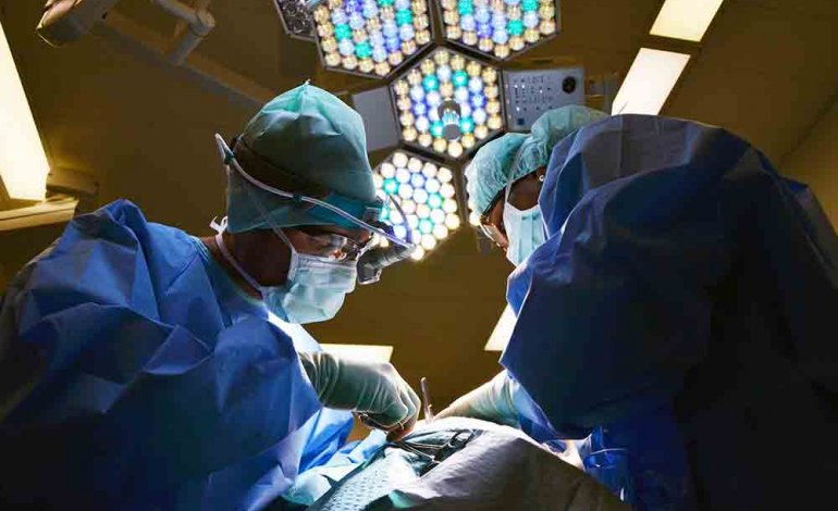 30.000 euro da Felicia all’Ospedale Papa Giovanni XIII di Bergamo