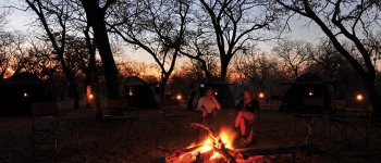 Dormire in tenda nei parchi del Botswana: le 5 specie da osservare