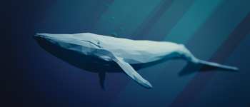 Il mistero della balena più solitaria del mondo