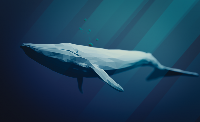 Il Mistero Della Balena Piu Solitaria Del Mondo La Rivista Della Natura