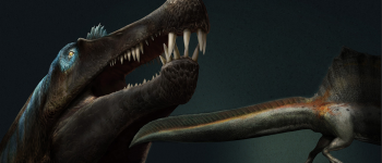 Spinosauro: 5 metri di coda che riscrivono i libri sui dinosauri