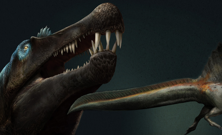 Spinosauro: 5 metri di coda che riscrivono i libri sui dinosauri