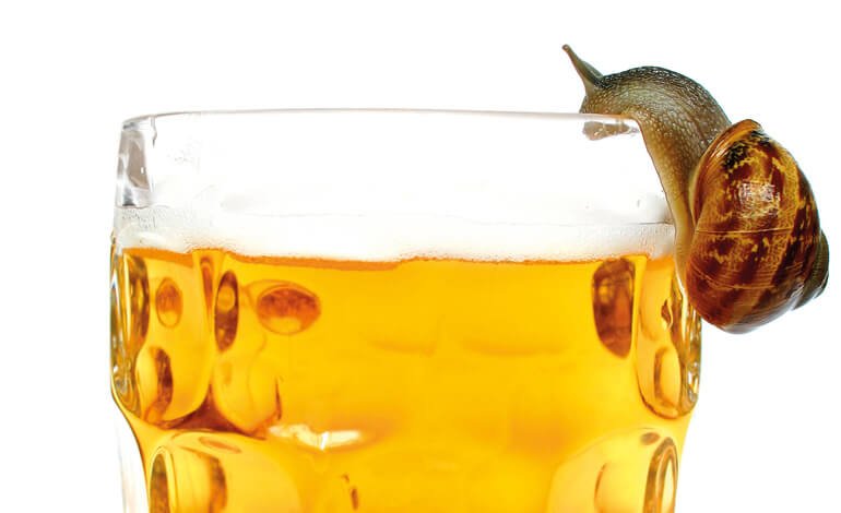 Trappola a base di birra