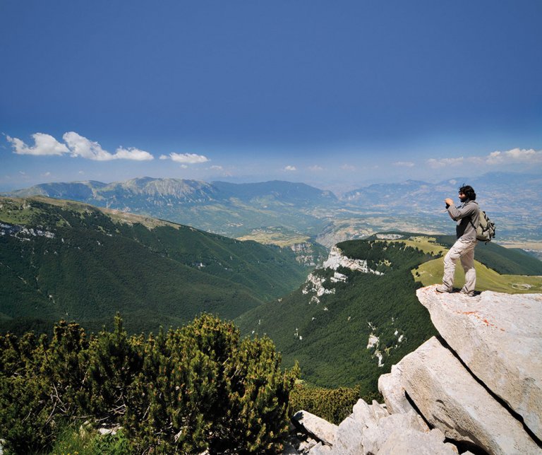 Le specie da ammirare del Parco