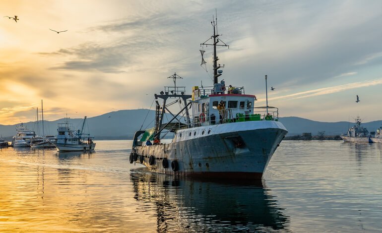 La pesca al tempo del coronavirus