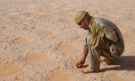 Gli archeologi scoprono come era possibile coltivare nel Sahara