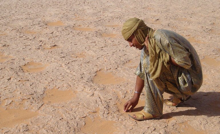 Gli archeologi scoprono come era possibile coltivare nel Sahara