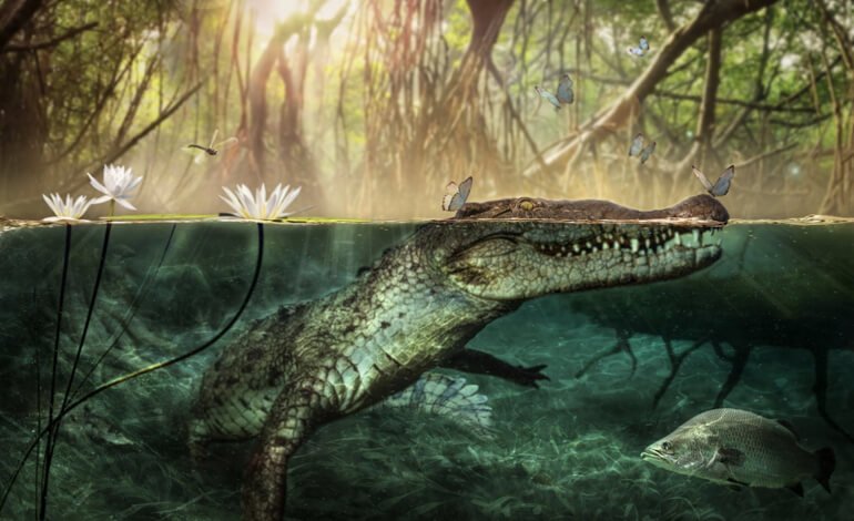 La grande attraversata atlantica dei coccodrilli