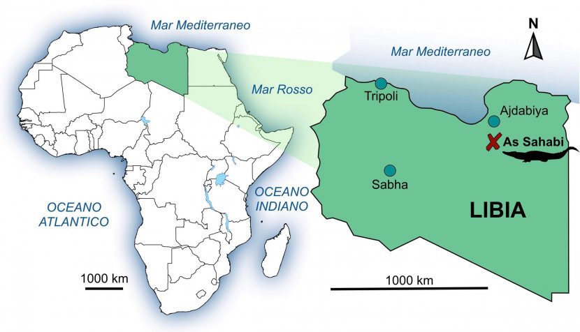 Africa coccodrilli