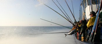 MSC dona 650mila sterline a progetti e attività di pesca sostenibili