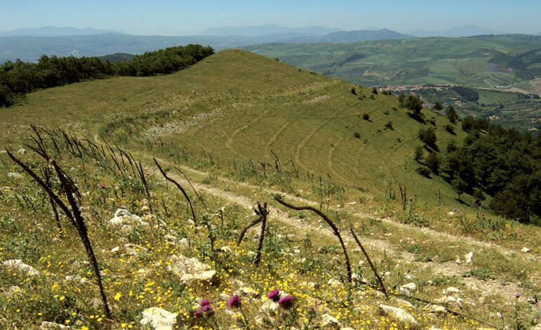 Le aree protette nella terra degli antichi Dauni