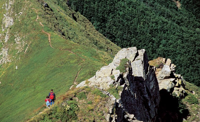 Dove la foresta lascia spazio a estese praterie