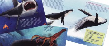 Squali, balene, orche, calamari e altri giganti del mare