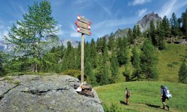 Le zone umide del Parco Alpe Veglia-Devero