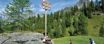Le zone umide del Parco Alpe Veglia-Devero