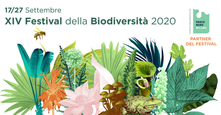 Festival 2020