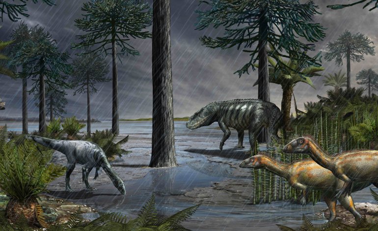 Nuova estinzione di massa: l’Episodio Pluviale Carnico