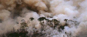 Il rischio di perdere l'Amazzonia è sempre più vicino