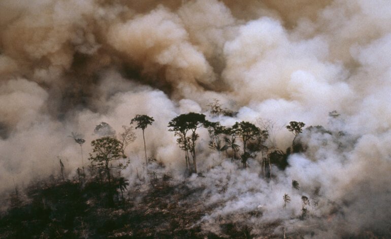 Il rischio di perdere l’Amazzonia è sempre più vicino