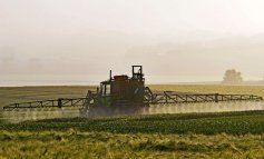 Riduzione dei pesticidi: ipocrisia verde