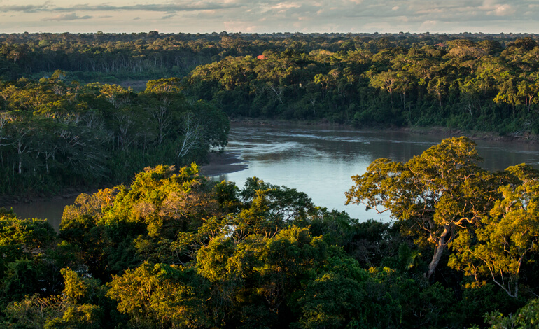 Together4Forests