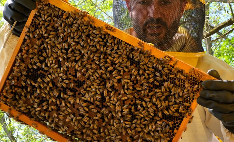 “Tutti per uno uno per tutti”: intervista al presidente di Conapi