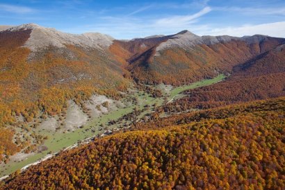 Le Foreste della Valle Longa con i colori autunnali © Umberto Esposito _ Wildlife Adventures