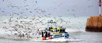 Un milione di sterline per la pesca sostenibile