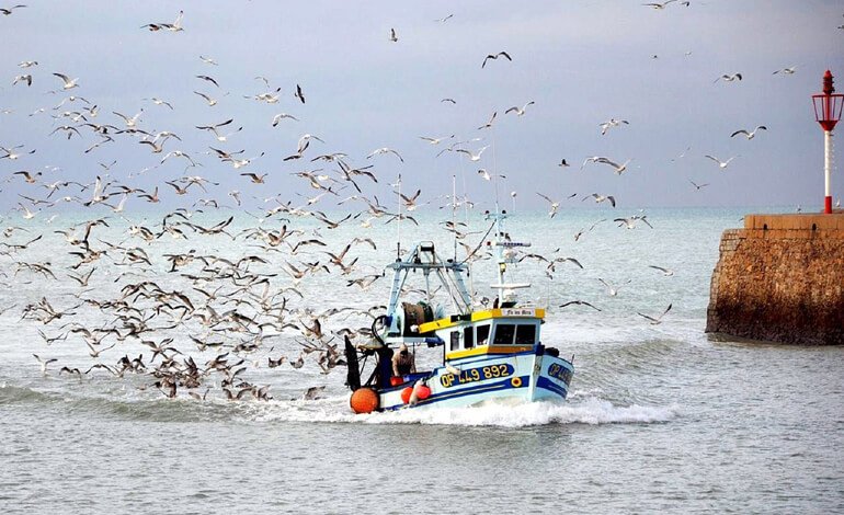 Un milione di sterline per la pesca sostenibile