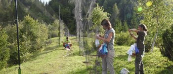 Inanellati in Trentino 11.000 uccelli di 62 specie diverse