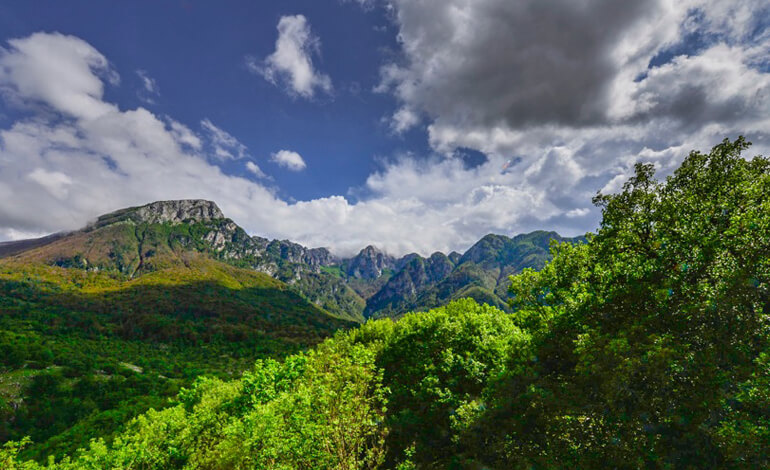 Sta Per Traguardare Il Secolo Di Vita Il Parco Nazionale D’Abruzzo