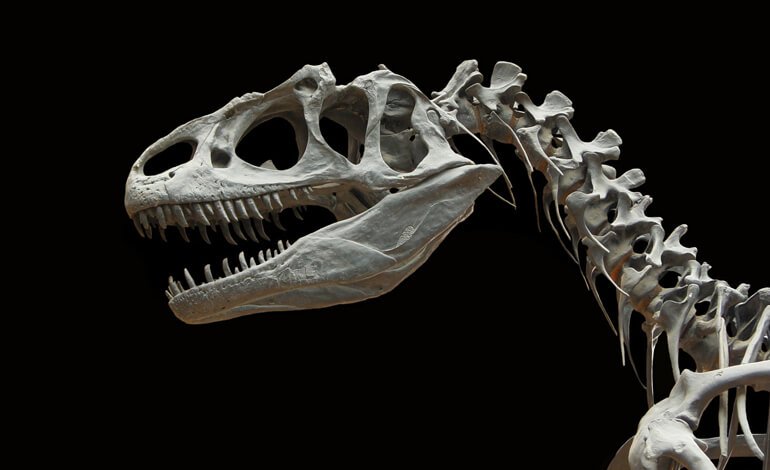 Le ferite del dinosauro