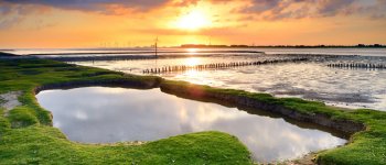 Il mare del Wattenmeer, patrimonio naturale Unesco