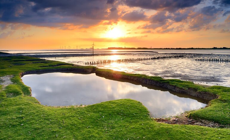 Il mare del Wattenmeer, patrimonio naturale Unesco