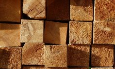 Solo legno di provenienza sicura e sostenibile