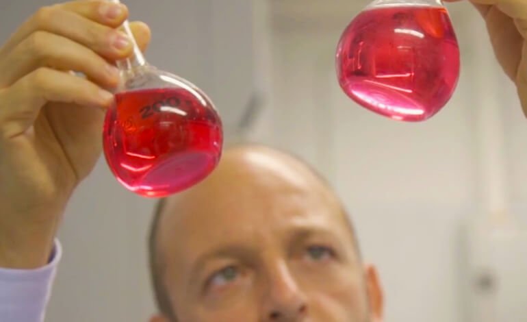 Dalla pigiatura dell’uva gli ingredienti per un’industria di qualità