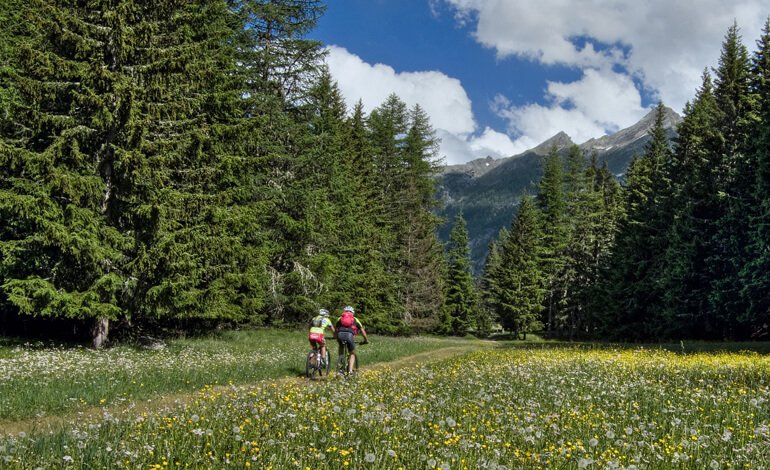 Il Parco apre la porta ed è pronto ad accoglierti