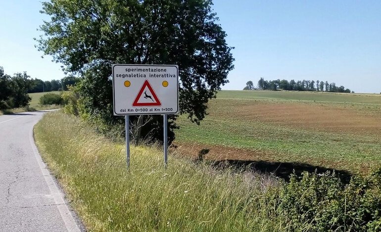 Attraversare sicuri