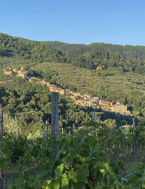 Villa Garzoni a Collodi