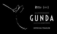 Il documentario “Gunda”: animali senzienti e altre storie
