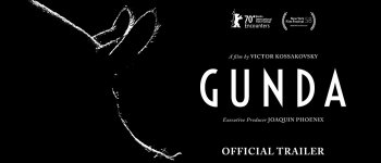 Il documentario “Gunda”: animali senzienti e altre storie